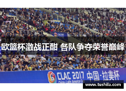 欧篮杯激战正酣 各队争夺荣誉巅峰 欧篮杯激战正酣 各队争夺荣誉巅峰