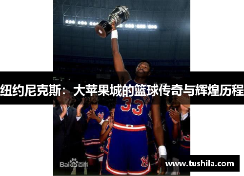 纽约尼克斯:大苹果城的篮球传奇与辉煌历程 纽约尼克斯:大苹果城的篮球传奇与辉煌历程