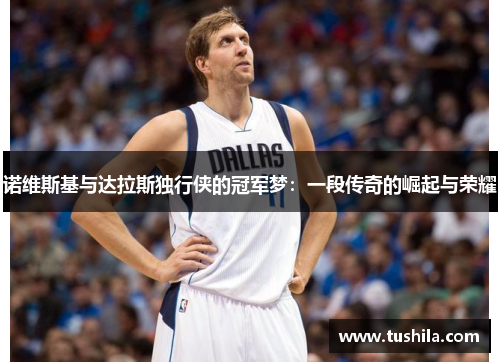 诺维斯基与达拉斯独行侠的冠军梦:一段传奇的崛起与荣耀 诺维斯基与达拉斯独行侠的冠军梦:一段传奇的崛起与荣耀
