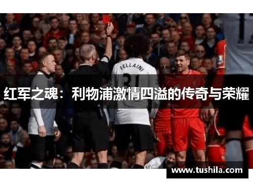 红军之魂:利物浦激情四溢的传奇与荣耀 红军之魂:利物浦激情四溢的传奇与荣耀
