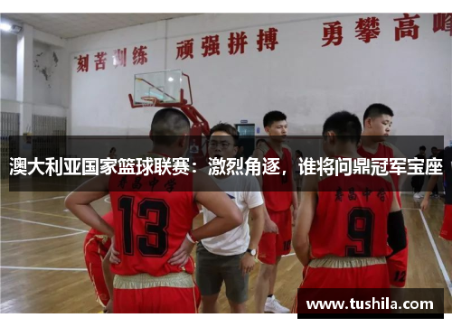 澳大利亚国家篮球联赛:激烈角逐,谁将问鼎冠军宝座 澳大利亚国家篮球联赛:激烈角逐,谁将问鼎冠军宝座